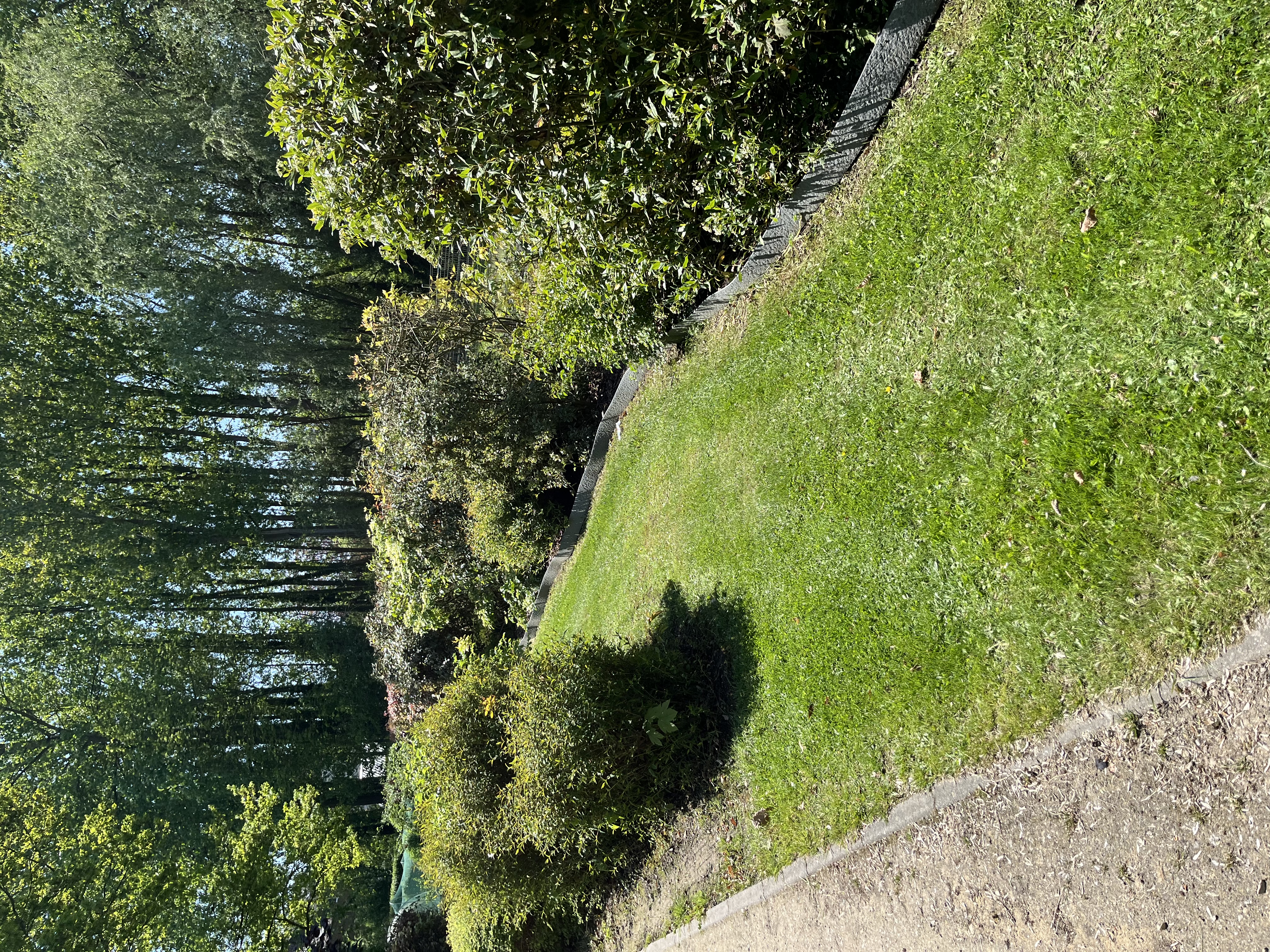 Aperçu de quelques jardins